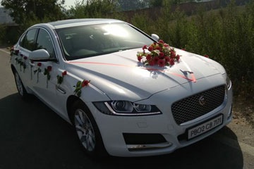Wedding Car Hire or Rentals Service